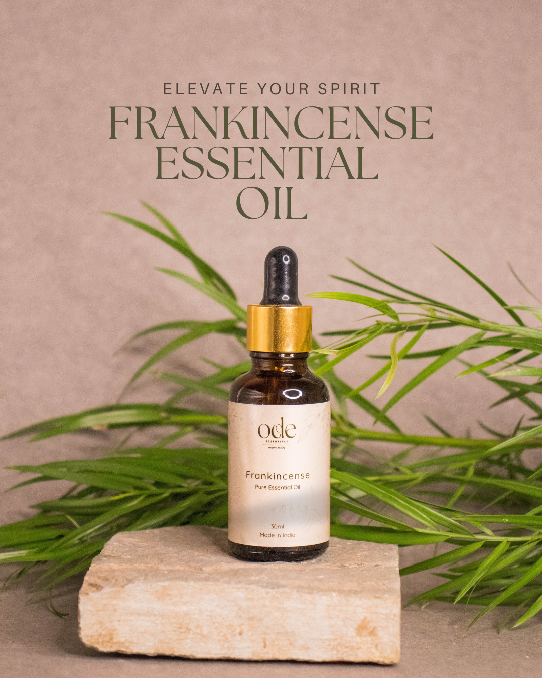 Frankincense - Pure Essential Oil